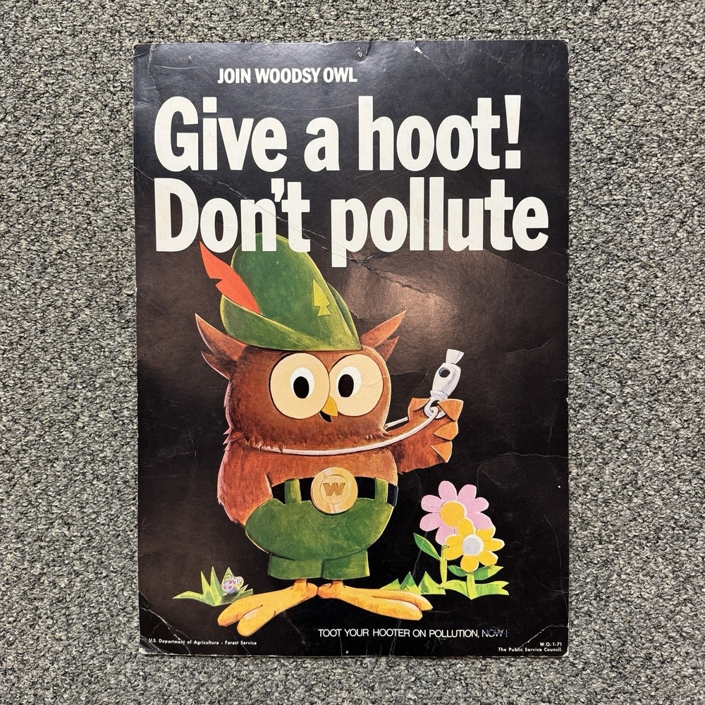 Vintage 1974 Woodsy the Owl "Give a Hoot! Don't Pollute" Poster | 13x18.5 Inches